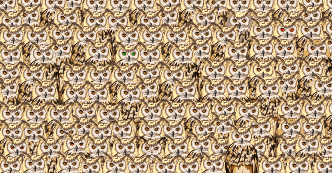 Can You Find the Cat That’s Hiding Among These Owls? - Easy Recipes