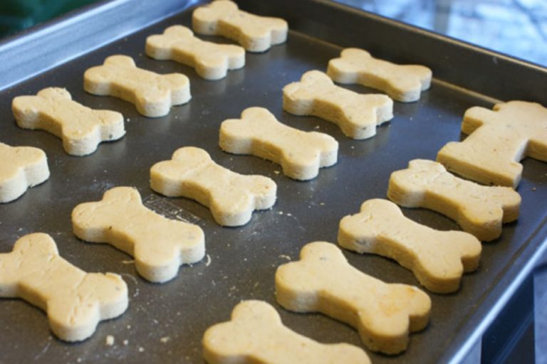 4-Ingredient Dog Biscuits - Easy Recipes