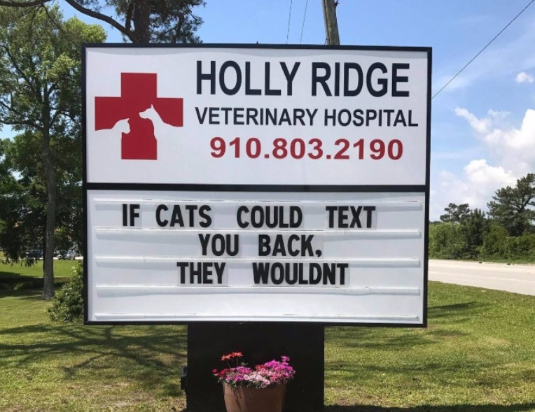 18 of the Most Accurate Cat Jokes That Vet Clinics Have Put Up On Their Signs