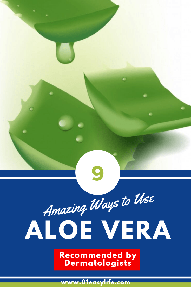 9 Amazing Ways To Use Aloe Vera • Easy Recipes