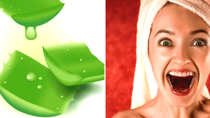 9 Amazing Ways To Use Aloe Vera