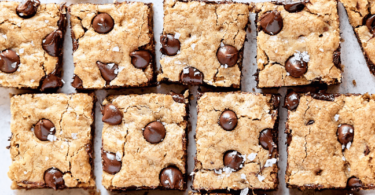 Chocolate Chip Pan Chewies Cookie Bars