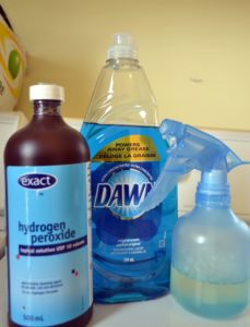 Dawn and Hydrogen Peroxide stain Remover - Easy Recipes