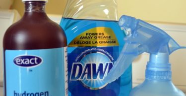 Dawn and Hydrogen Peroxide stain Remover