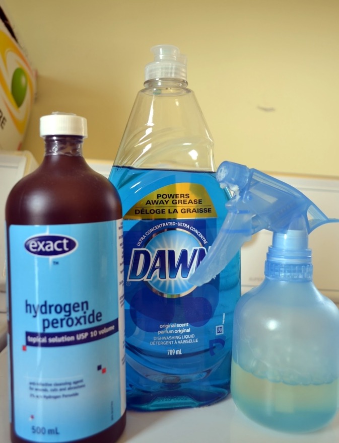 Dawn and Hydrogen Peroxide stain Remover
