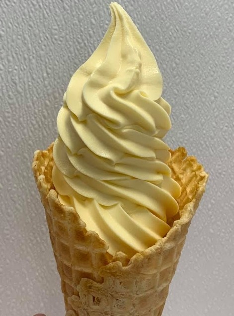 Homemade Pineapple Soft Serve Ice Cream