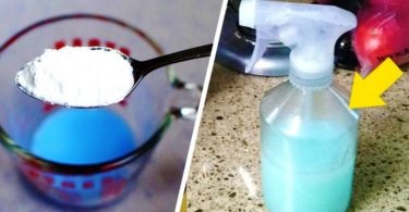 THE MIXTURE THAT WILL MAKE YOUR HOME SMELL SO GOOD