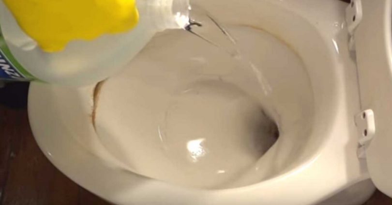 How To Remove Hard Water Stains From A Toilet Bowl