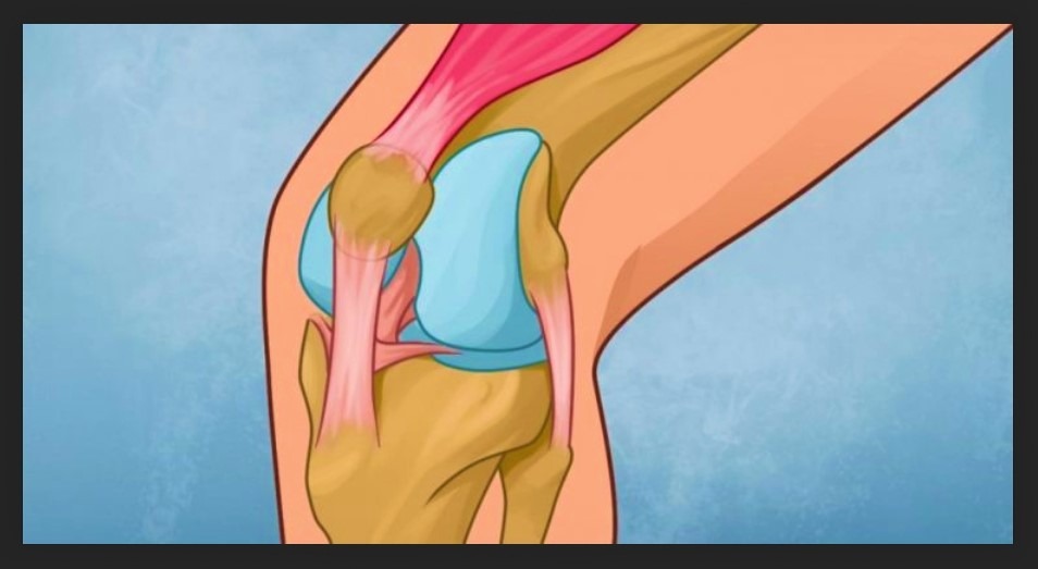 How to heel your knee and rebuild joint strength