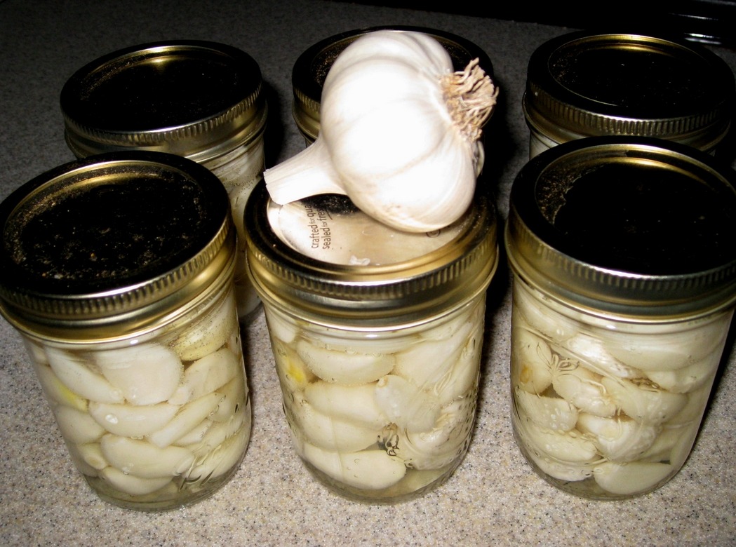 Creamy Garlic Jam