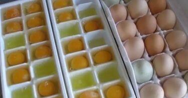 Freezing eggs is a great way to preserve them for later use, and it's a simple process that can be done in the comfort of your own home. Eggs can be frozen in their shells, or they can be broken and frozen in an airtight container. In this article, we will discuss the materials needed, tips, and tricks for freezing eggs.