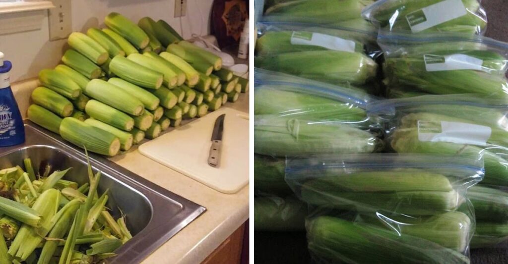 How To Properly Freeze Corn On The Cob