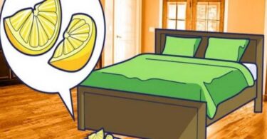 The Benefits Of Placing A Sliced Lemon Near Your Bed