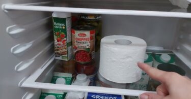 Why People Keep A Roll Of Toilet Paper In Their Fridge