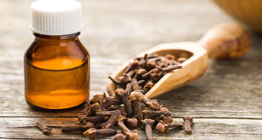 With over 2000 years of use in Asia for both medicinal and culinary purposes, cloves gained popularity in Europe during the Middle Ages, rivaling even pepper in fame.