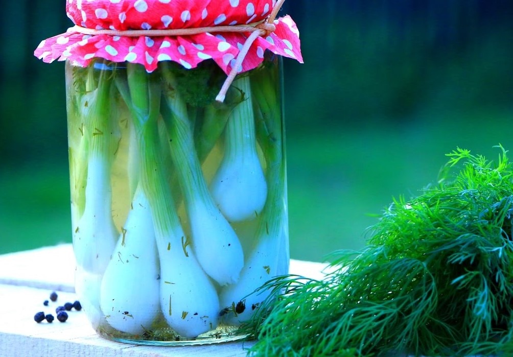 The Art of Pickling Pickled green onions
