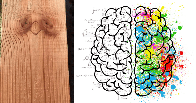 The image above shows a piece of wood with natural patterns resembling the shape of a brain. This visual metaphor highlights the organic and interconnected nature of brain function, emphasizing that both hemispheres contribute to our cognitive abilities in a harmonious and integrated manner.