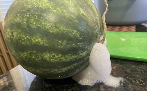 foam watermelon