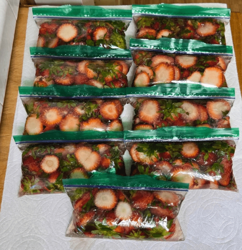 Ziploc bags of frozen strawberry tops for chickens